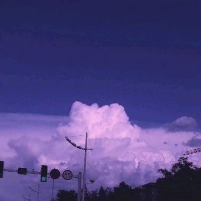 下终南山过斛斯山人宿置酒